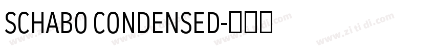 SCHABO CONDENSED字体转换
